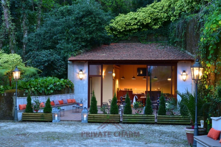 Quinta T7 para Venda em Santa Maria e São Miguel, São Martinho, São Pedro Penaferrim Foto 20