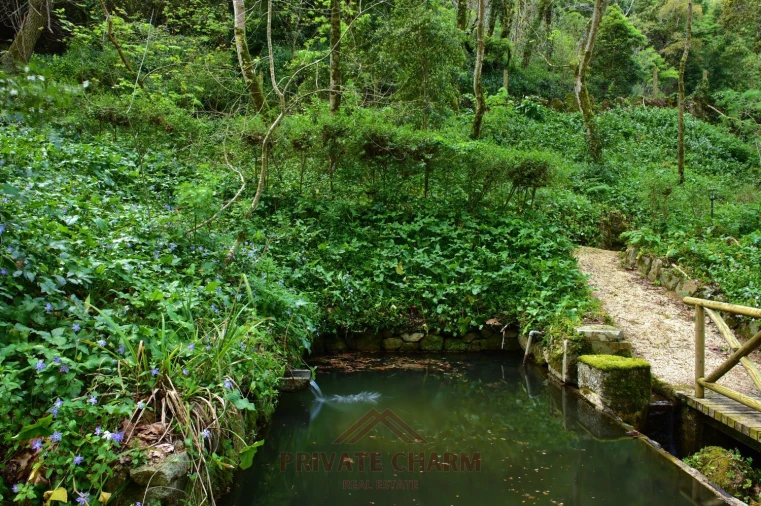 Quinta T7 para Venda em Santa Maria e São Miguel, São Martinho, São Pedro Penaferrim Foto 15