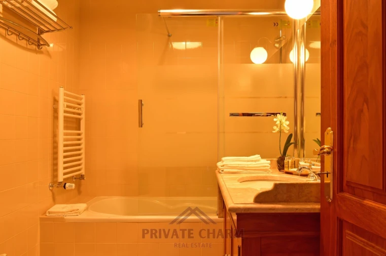 Quinta T7 para Venda em Santa Maria e São Miguel, São Martinho, São Pedro Penaferrim Foto 31