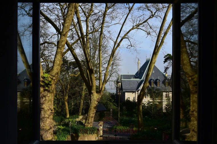 Quinta T7 para Venda em Santa Maria e São Miguel, São Martinho, São Pedro Penaferrim Foto 13