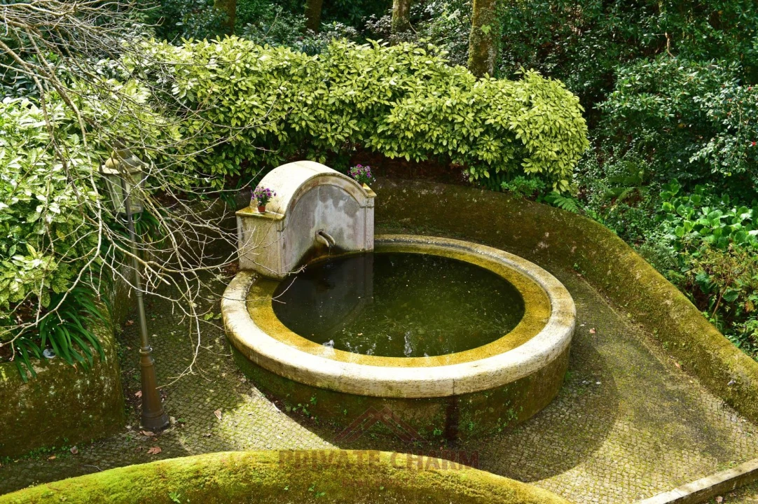 Quinta T7 para Venda em Santa Maria e São Miguel, São Martinho, São Pedro Penaferrim Foto 17