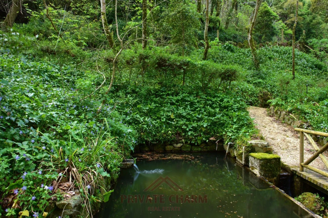 Quinta T7 para Venda em Santa Maria e São Miguel, São Martinho, São Pedro Penaferrim Foto 15