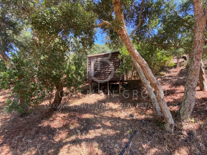 Terreno para Venda em Aljezur Foto 14