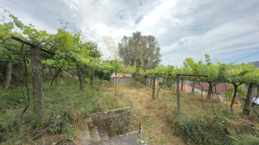 Moradia T3 para Venda em Bárrio e Cepões Foto 18