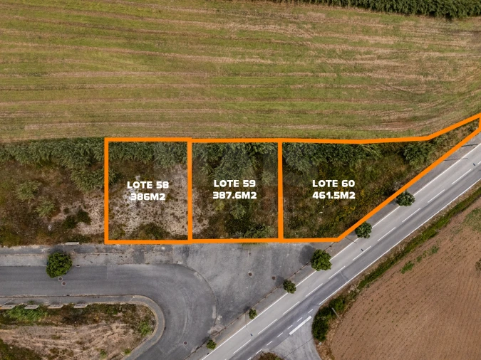 Terreno para Venda em Silveira Foto 3