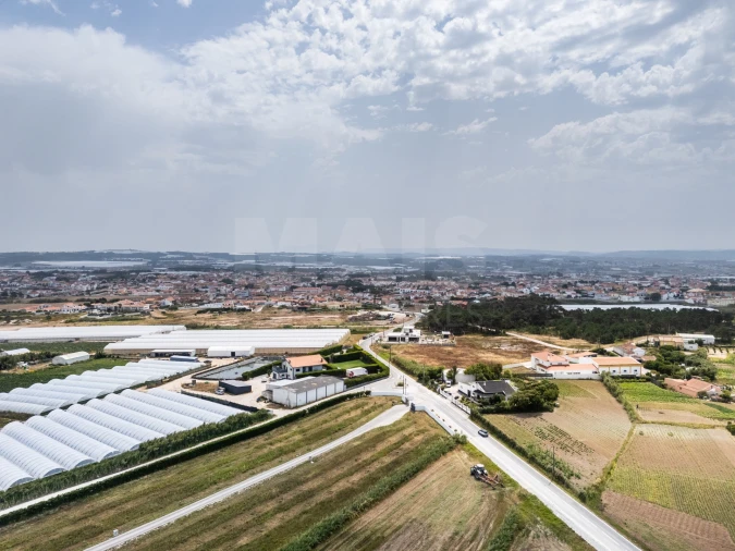 Terreno para Venda em Silveira Foto 9