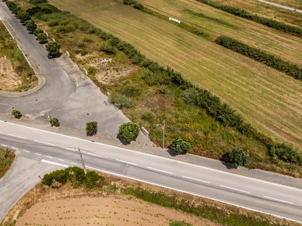 Terreno para Venda em Silveira Foto 4