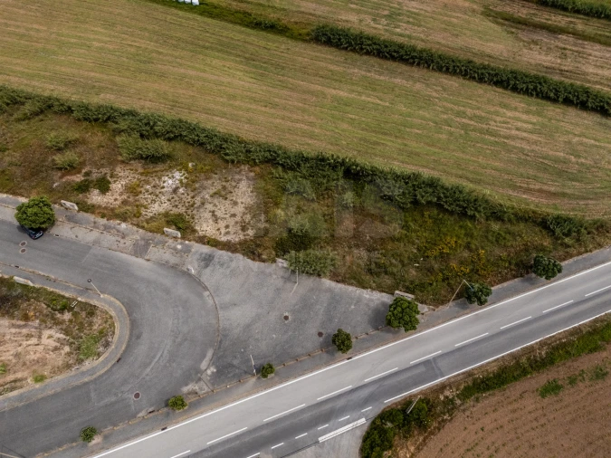 Terreno para Venda em Silveira Foto 8