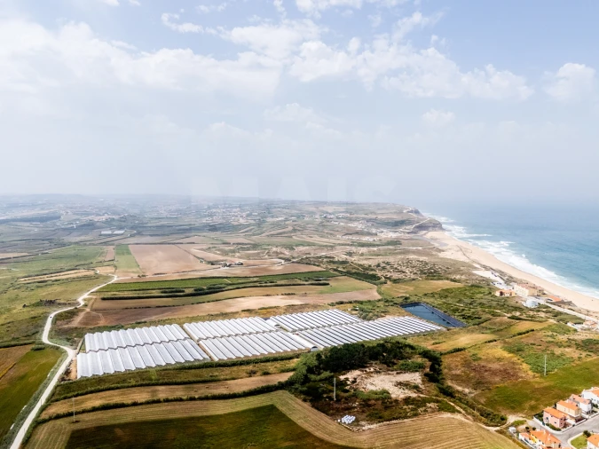 Terreno para Venda em Silveira Foto 12