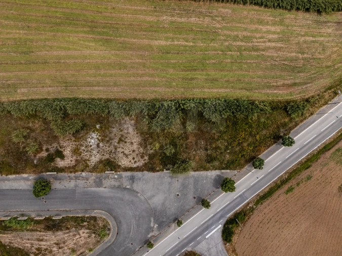 Terreno para Venda em Silveira Foto 2