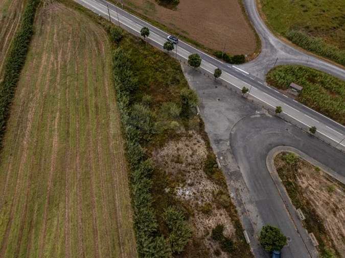 Terreno para Venda em Silveira Foto 9