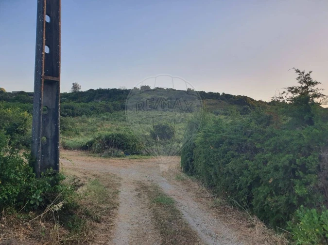Terreno para Venda em Santiago dos Velhos Foto 3