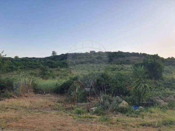 Terreno para Venda em Santiago dos Velhos Foto 6