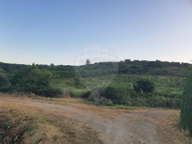 Terreno para Venda em Santiago dos Velhos Foto 1