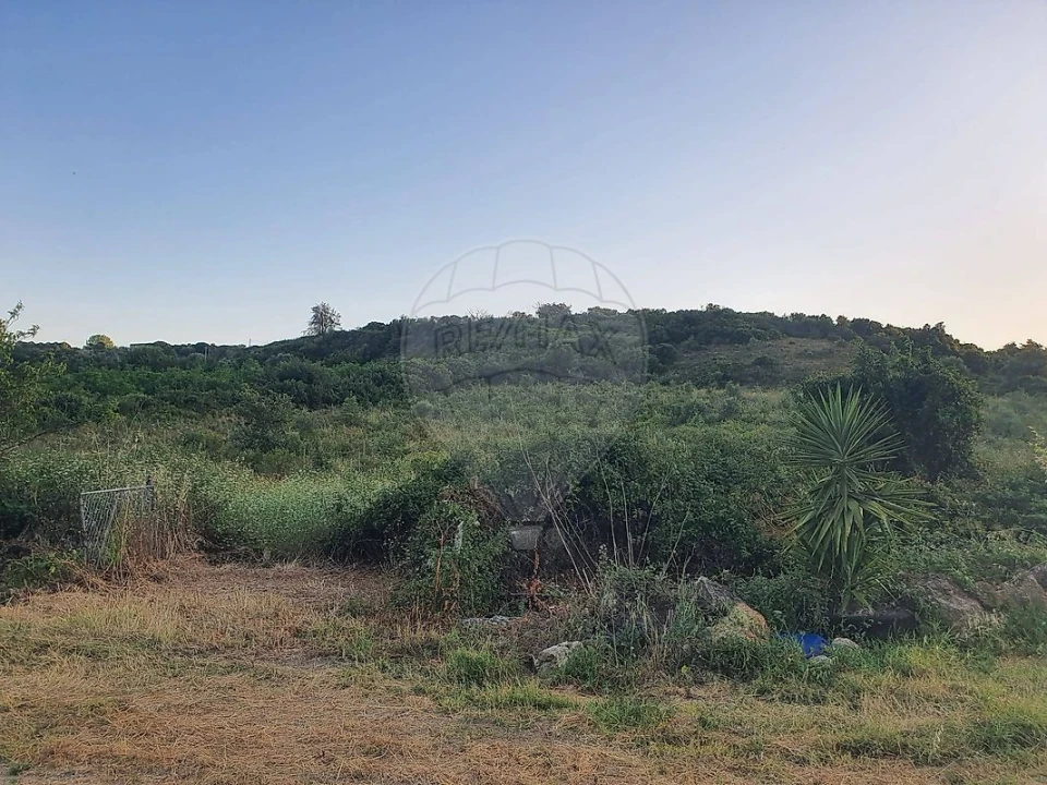 Terreno para Venda em Santiago dos Velhos Foto 6