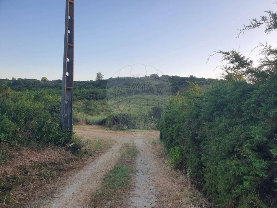 Terreno para Venda em Santiago dos Velhos Foto 4