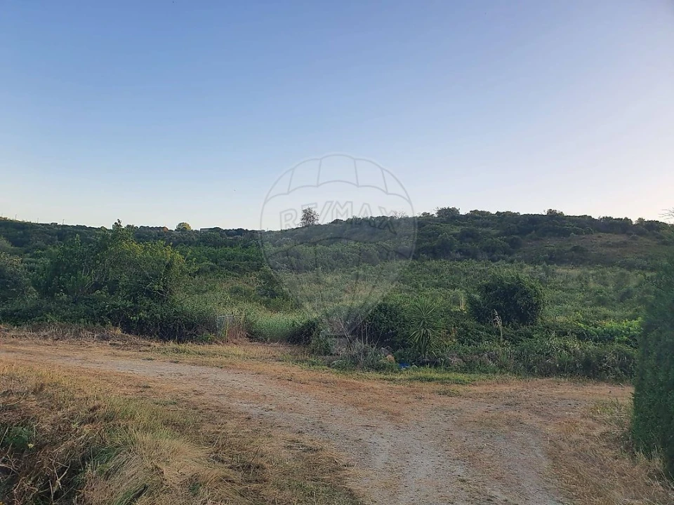 Terreno para Venda em Santiago dos Velhos Foto 1