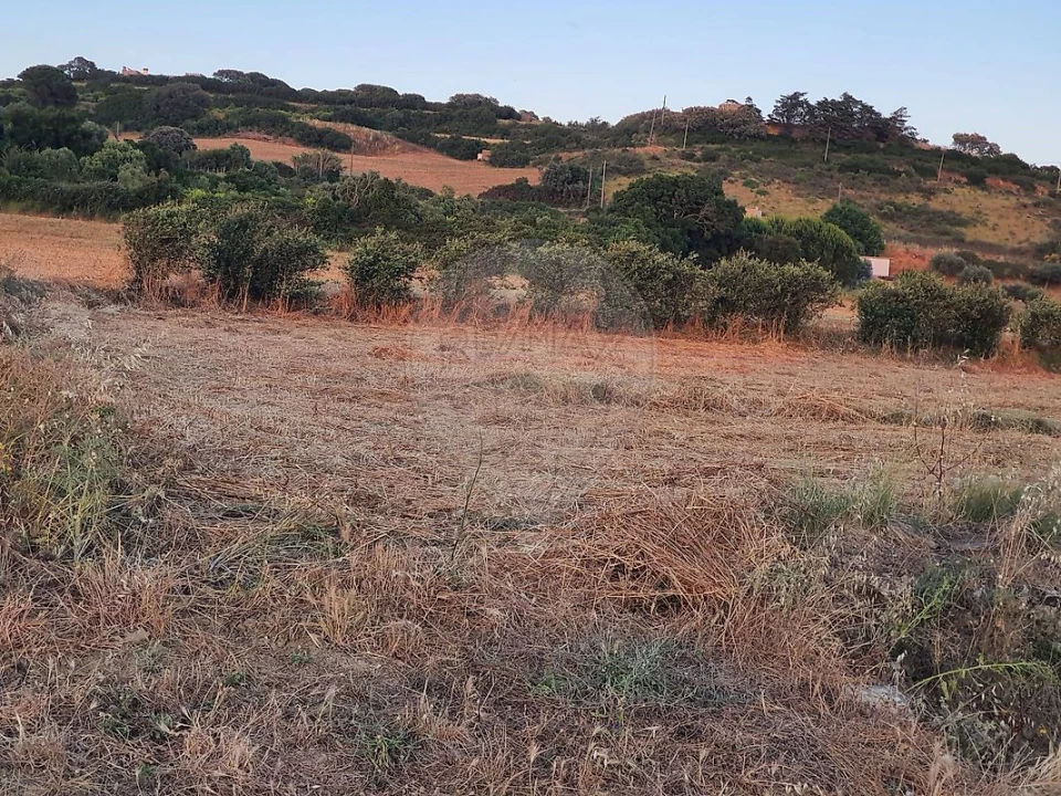 Terreno para Venda em Santiago dos Velhos Foto 3