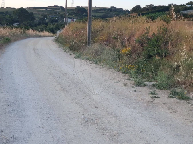 Terreno para Venda em Santiago dos Velhos Foto 4