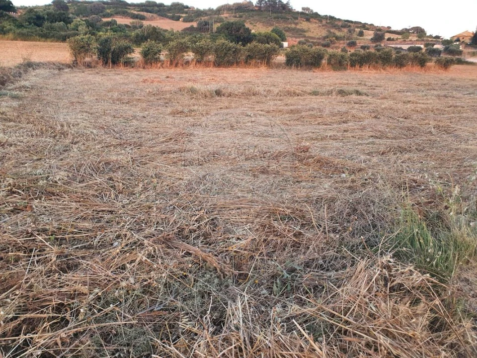 Terreno para Venda em Santiago dos Velhos Foto 1