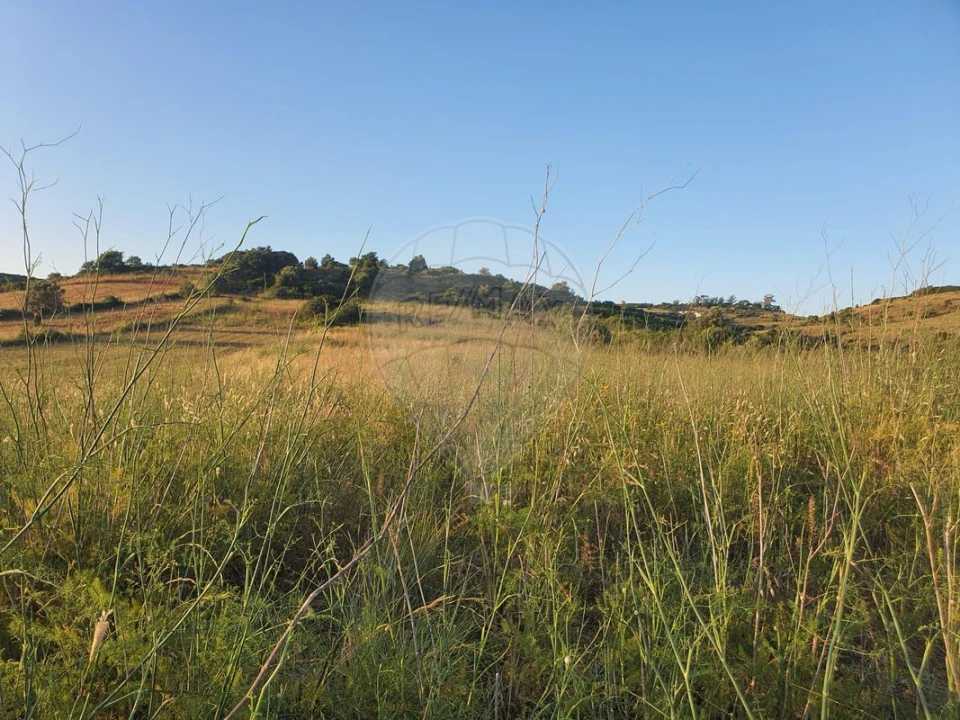 Terreno para Venda em Santiago dos Velhos Foto 2