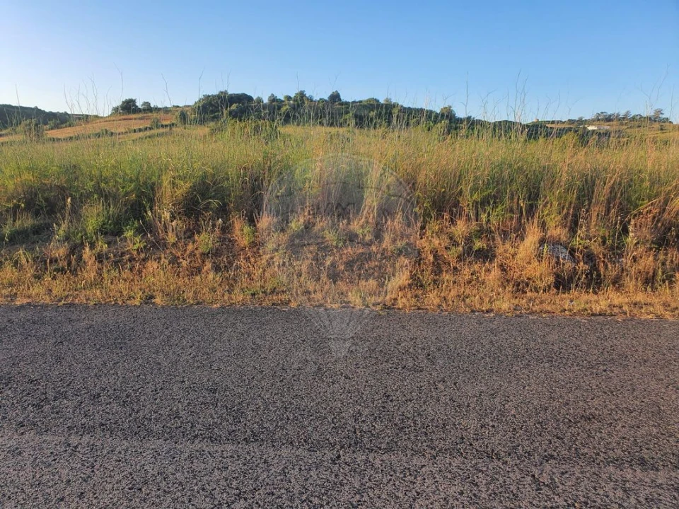 Terreno para Venda em Santiago dos Velhos Foto 7