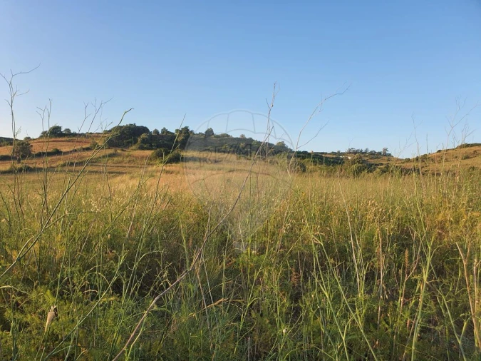 Terreno para Venda em Santiago dos Velhos Foto 2