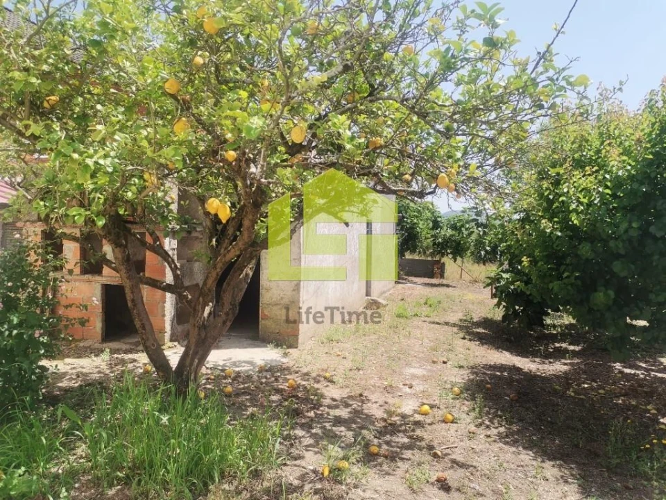 Moradia T2 para Venda em Condeixa-A-Velha e Condeixa-A-Nova Foto 20