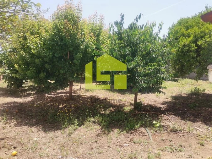 Moradia T2 para Venda em Condeixa-A-Velha e Condeixa-A-Nova Foto 21