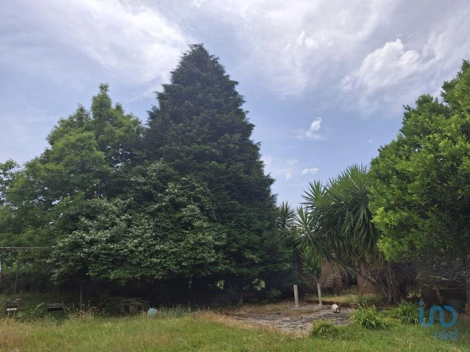 Moradia T4 para Venda em Moreira Foto 5