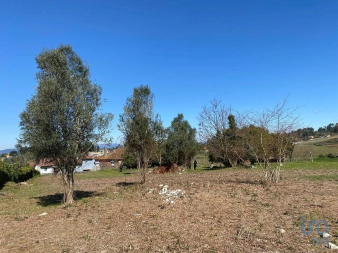 Moradia T4 para Venda em Moreira Foto 10