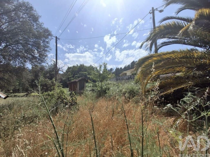 Moradia T4 para Venda em Moreira Foto 18