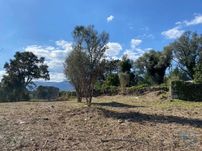 Moradia T4 para Venda em Moreira Foto 13