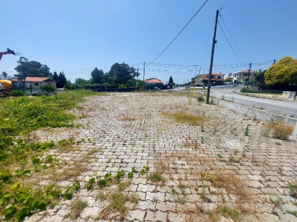Terreno para Arrendamento em Ferreiros, Prozelo e Besteiros Foto 2