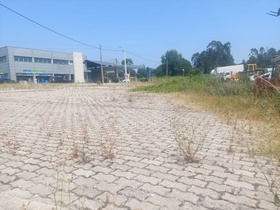 Terreno para Arrendamento em Ferreiros, Prozelo e Besteiros Foto 4
