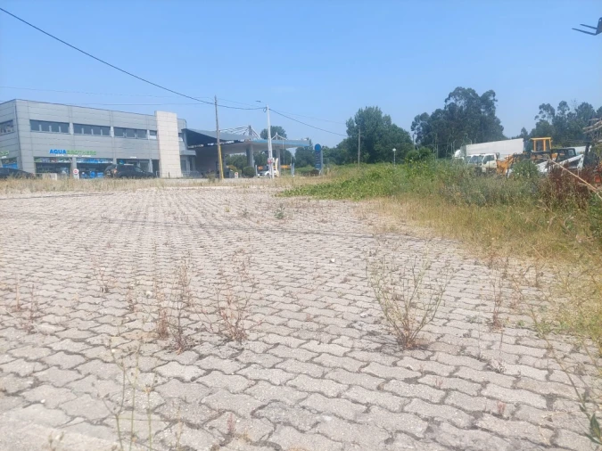 Terreno para Arrendamento em Ferreiros, Prozelo e Besteiros Foto 4