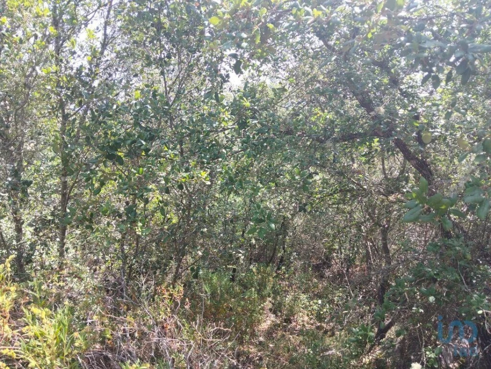 Terreno para Venda em Chãos Foto 3