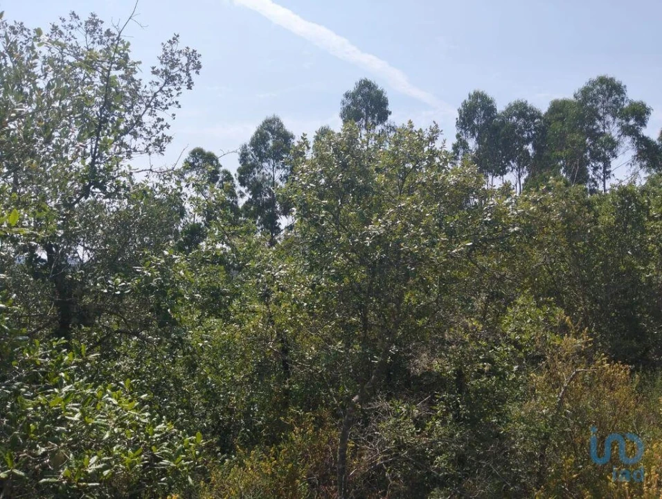 Terreno para Venda em Chãos Foto 7