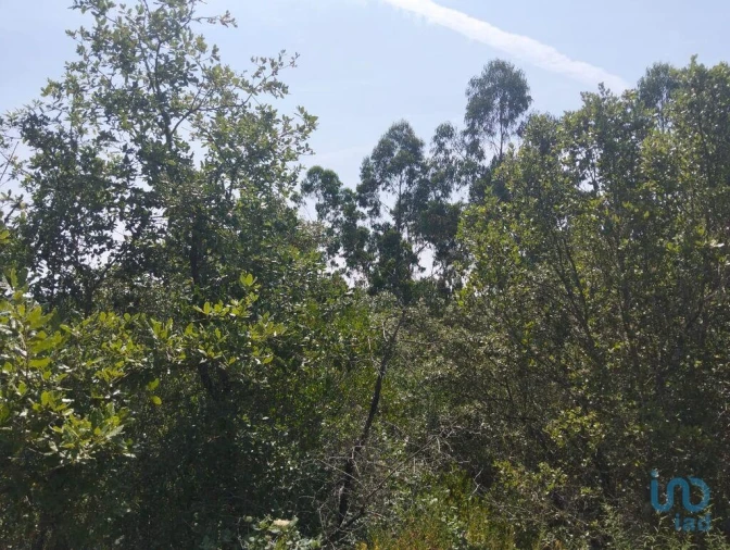 Terreno para Venda em Chãos Foto 10