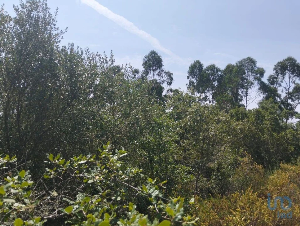 Terreno para Venda em Chãos Foto 1