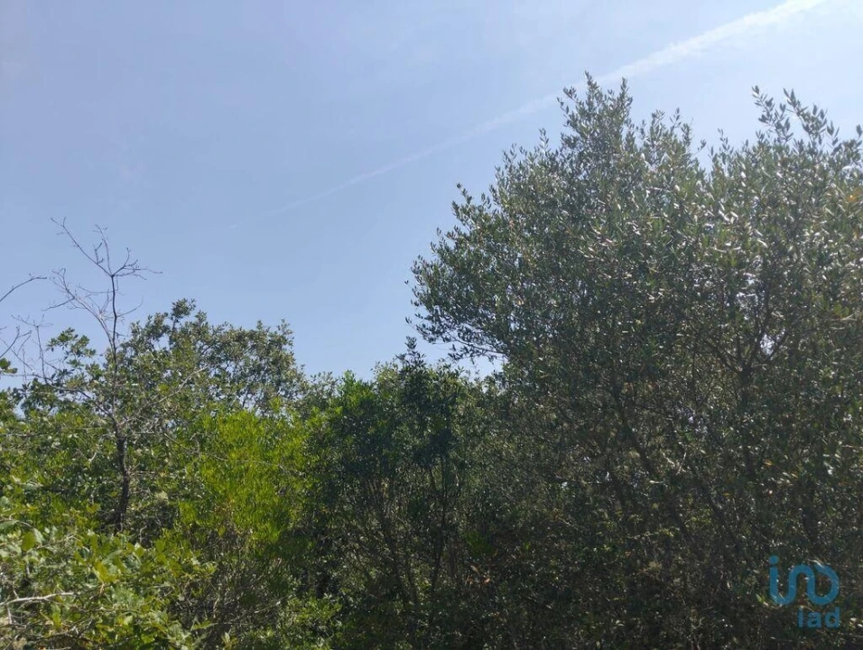 Terreno para Venda em Chãos Foto 9