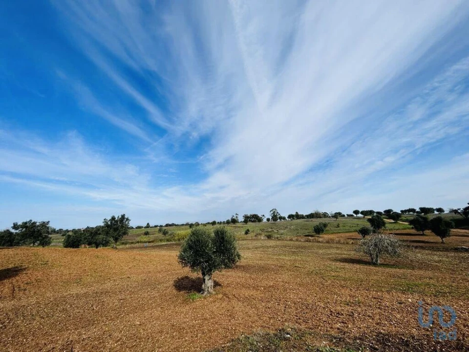 Terreno para Venda em Ferreira do Alentejo e Canhestros Foto 5