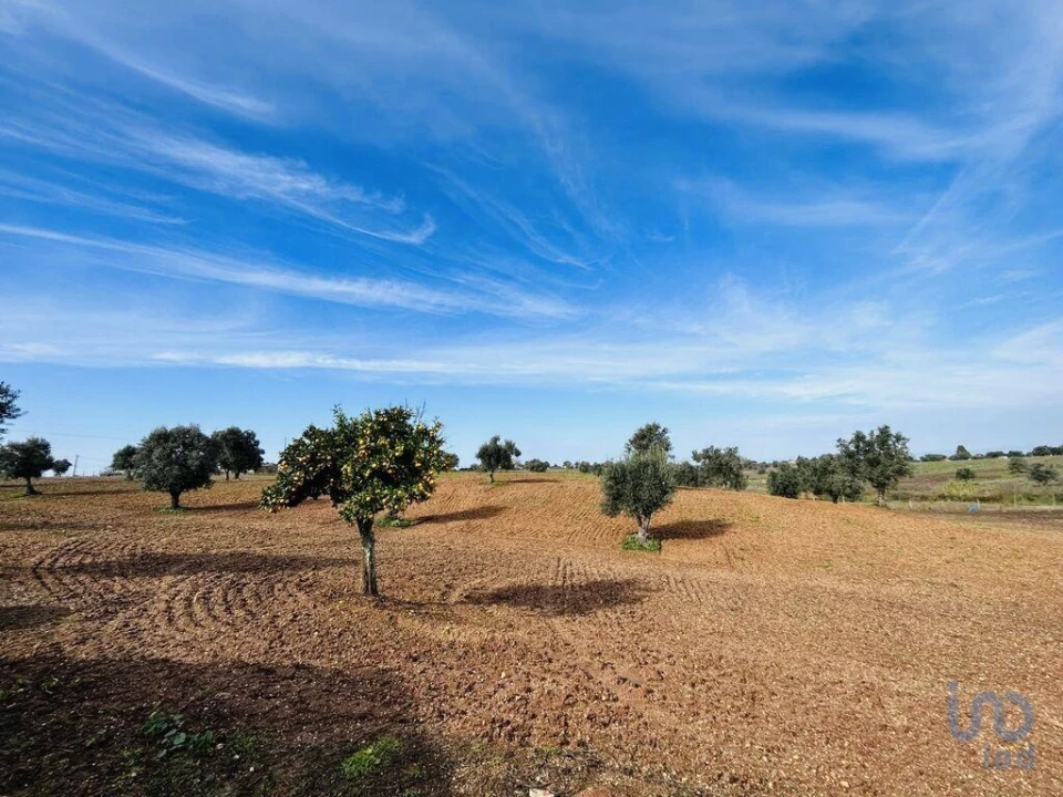 Terreno para Venda em Ferreira do Alentejo e Canhestros Foto 9