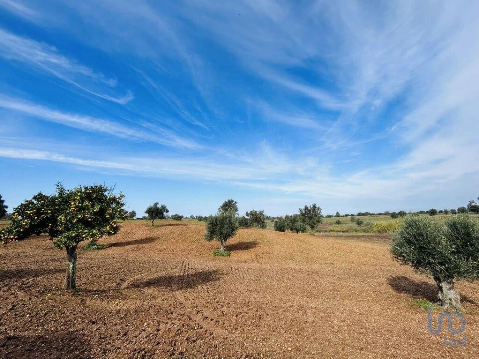 Terreno para Venda em Ferreira do Alentejo e Canhestros Foto 6