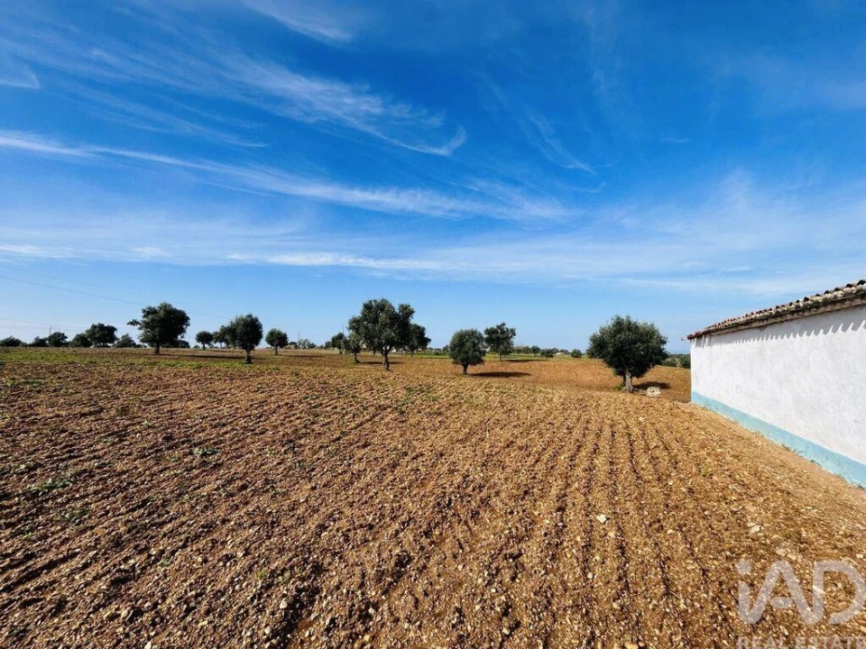 Terreno para Venda em Ferreira do Alentejo e Canhestros Foto 15
