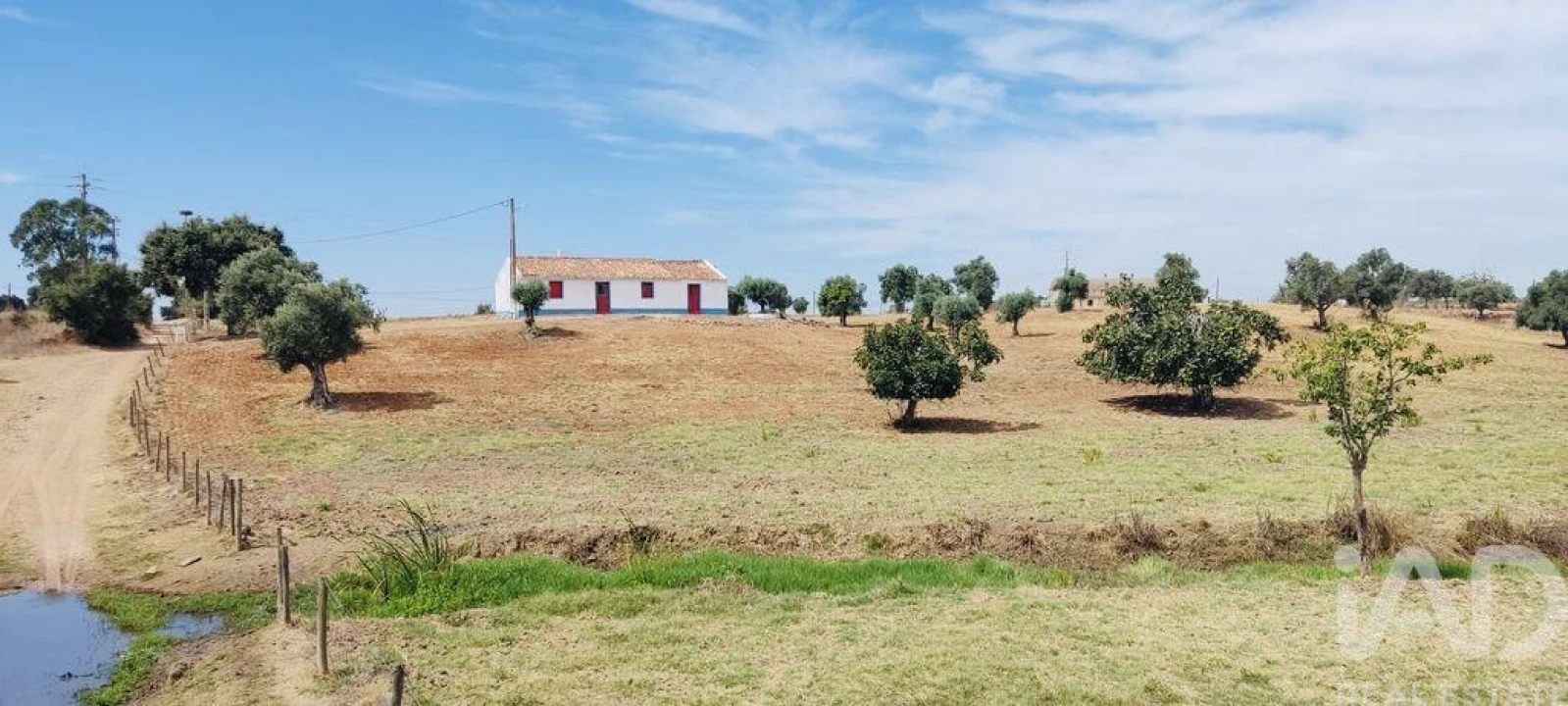 Terreno para Venda em Ferreira do Alentejo e Canhestros Foto 20
