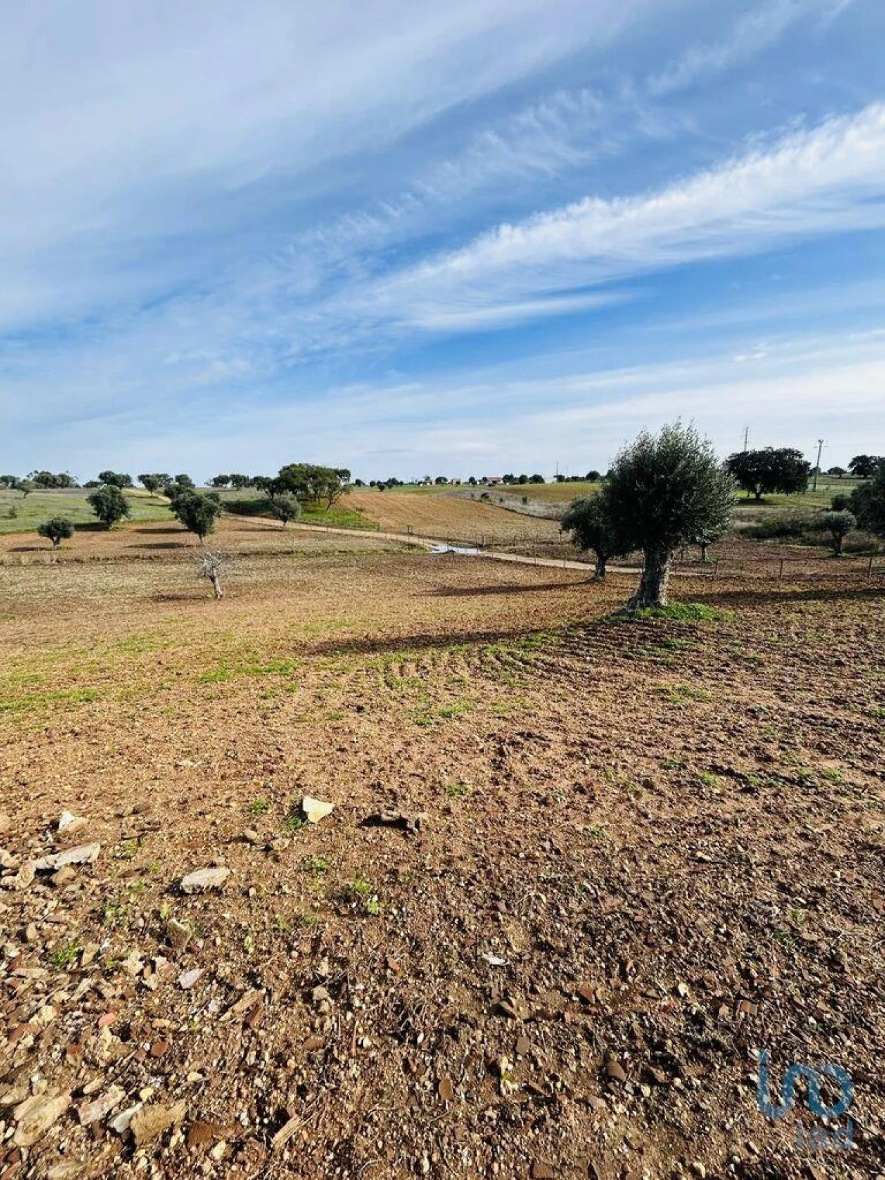 Terreno para Venda em Ferreira do Alentejo e Canhestros Foto 11