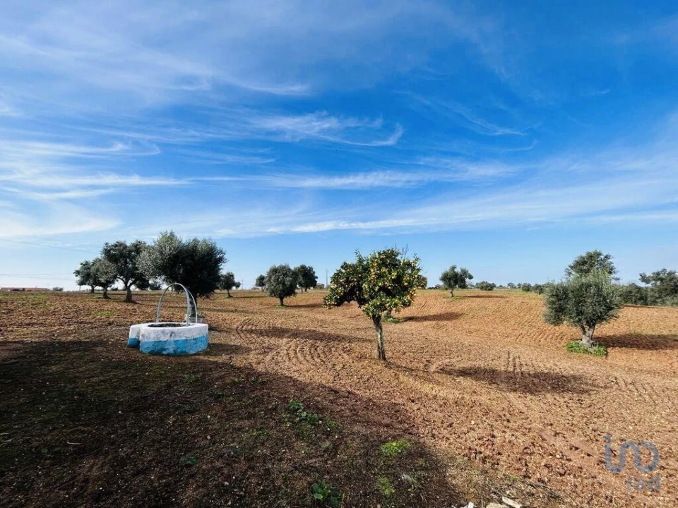 Terreno para Venda em Ferreira do Alentejo e Canhestros Foto 4