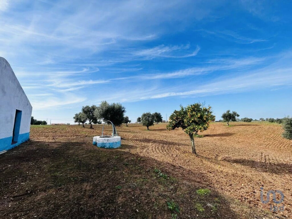 Terreno para Venda em Ferreira do Alentejo e Canhestros Foto 10