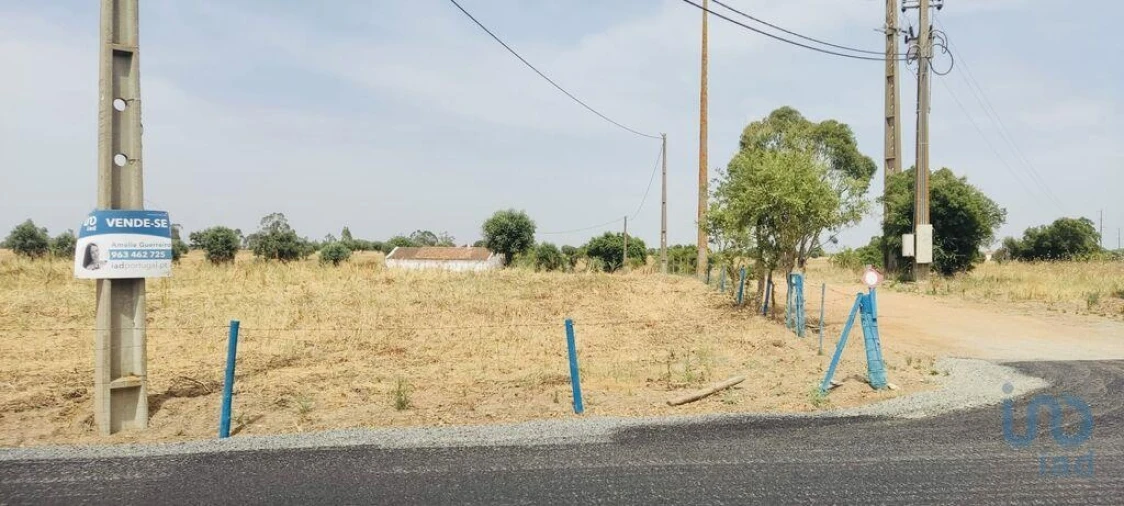 Terreno para Venda em Ferreira do Alentejo e Canhestros Foto 13